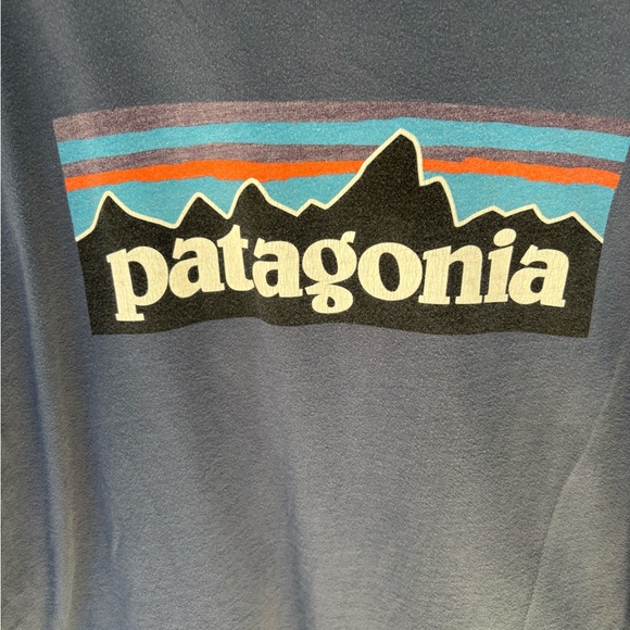 Patagonia Men's blue long sleeve with Logo Size Large - Picture 2 of 4